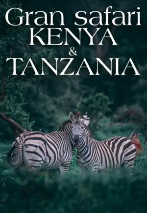GRAN SAFARI KENYA Y TANZANIA