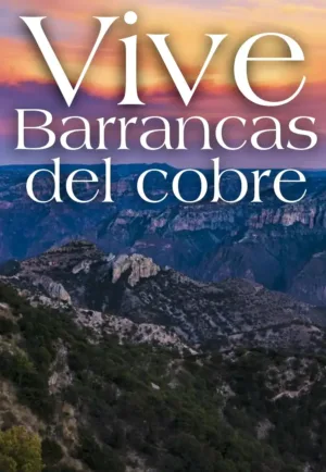 VIVE BARRANCAS DEL COBRE