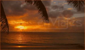 Maravillas dominicanas: disfruta un viaje a Punta Cana todo incluido con playas hermosas; vive un viaje a Punta Cana todo incluido con descanso absoluto.