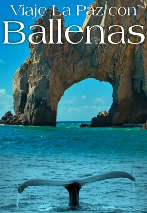 VIAJE LA PAZ CON BALLENAS