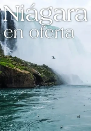 NIAGARA EN OFERTA INICIO