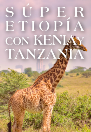Super Etiopía con Kenia y Tanzania te lleva al corazón de África del Este. Vive un viaje por África del Este con safaris, cultura y playas paradisíacas.