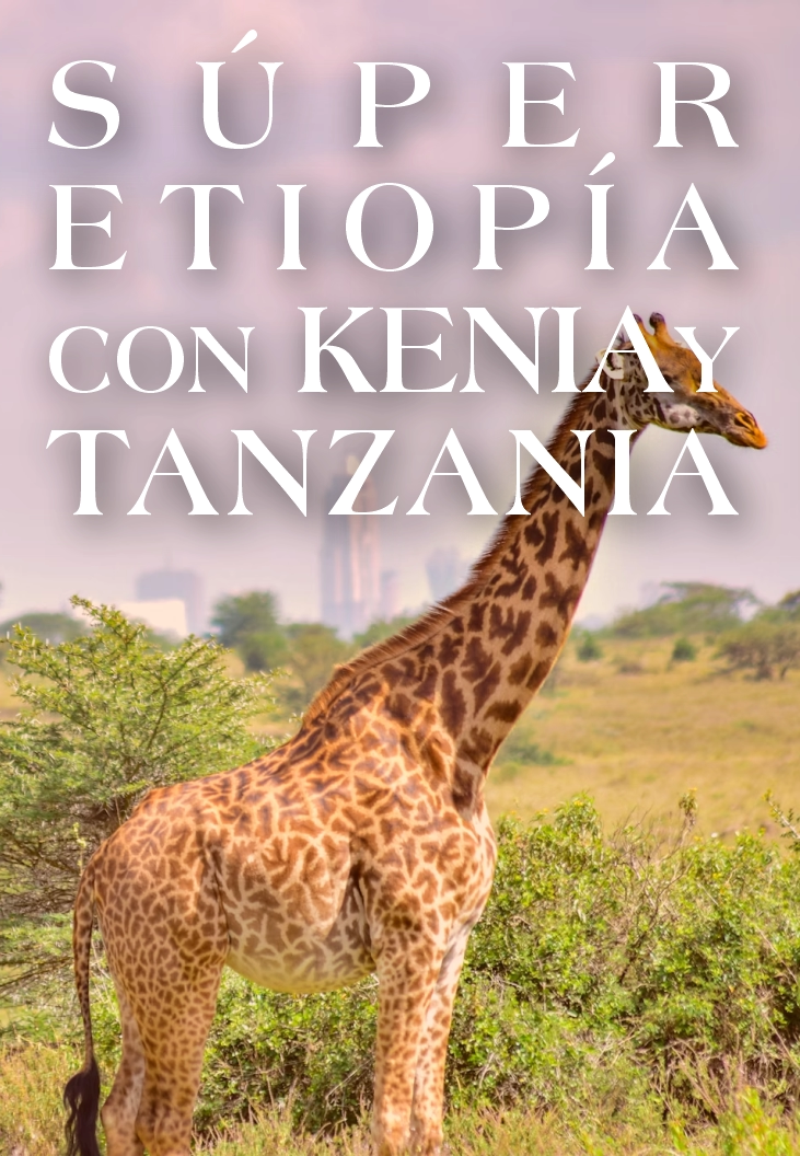 Super Etiopía con Kenia y Tanzania te lleva al corazón de África del Este. Vive un viaje por África del Este con safaris, cultura y playas paradisíacas.