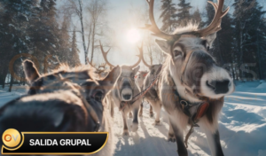 Finlandia Mágica es un viaje a Laponia y Helsinki, ideal para descubrir paisajes árticos, auroras boreales y experiencias únicas en el norte de Europa.
