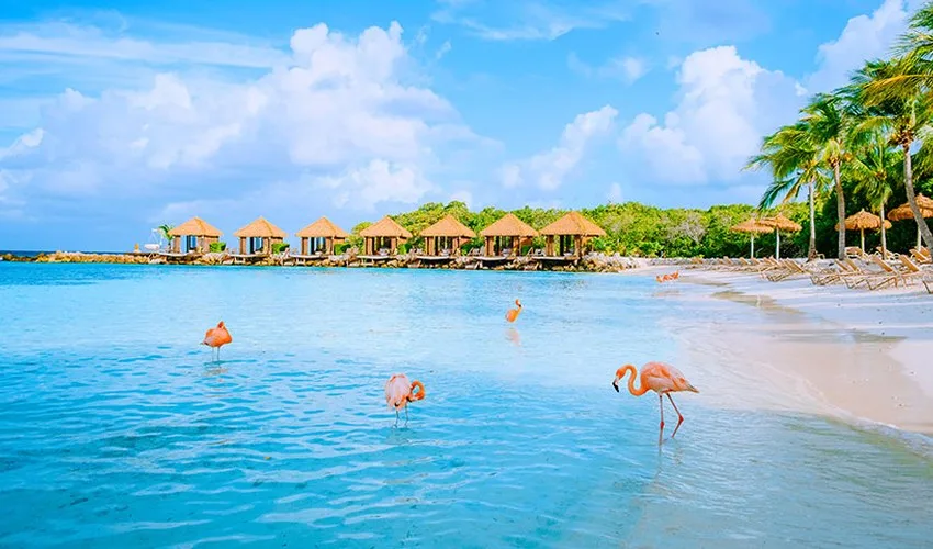 Aruba con Panamá de Regalo
