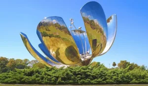 Buenos Aires Top
