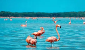Colores de Yucatán