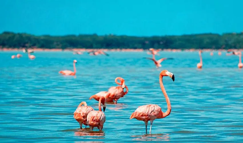 Colores de Yucatán