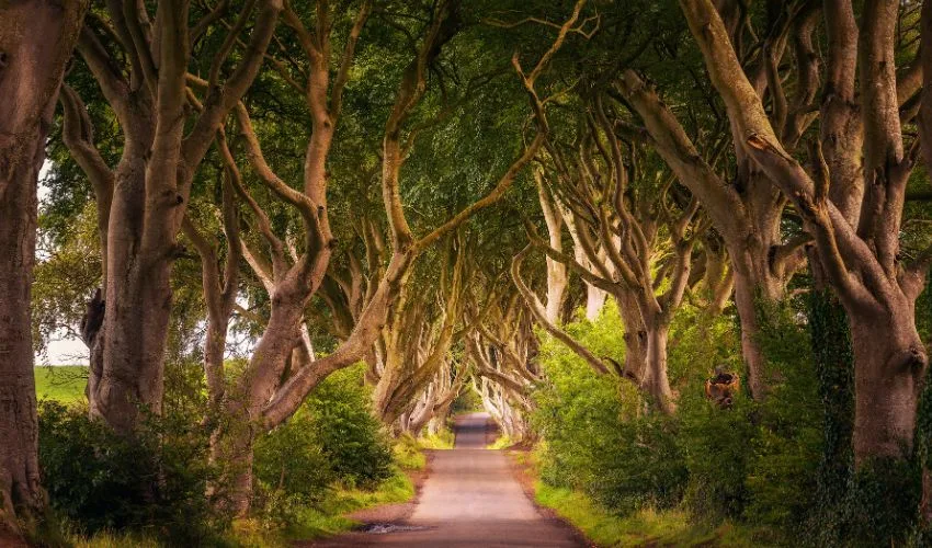 IRLANDA FANTÁSTICA CON IRLANDA DEL NORTE