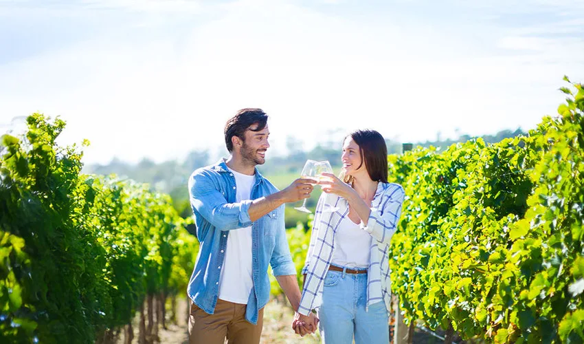 La Ruta del Vino