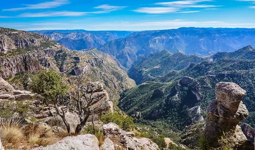 Tesoros de la Sierra