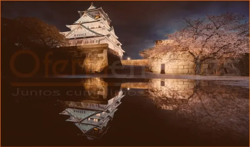 OFERTA JAPONESA