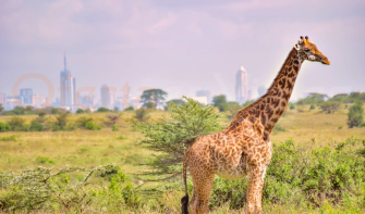 Súper Etiopía con Kenia y Tanzania es un viaje que conecta cultura, naturaleza y fauna salvaje en un Safari inolvidable por África Oriental.
