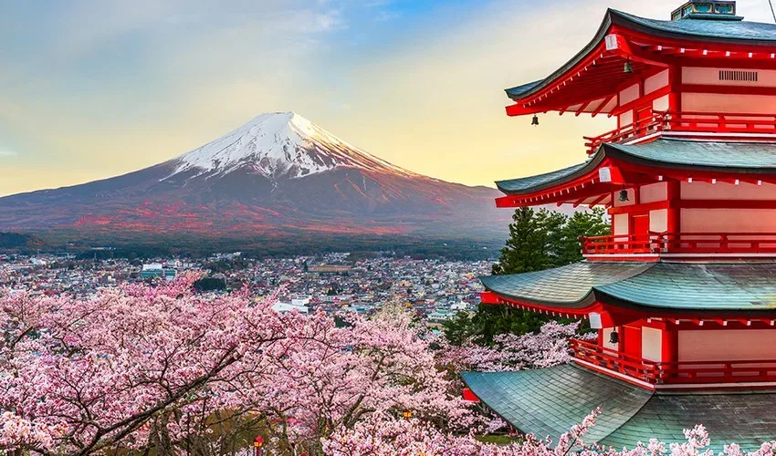 japon-medida-ichiban